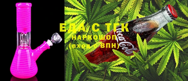 амф Верхний Тагил