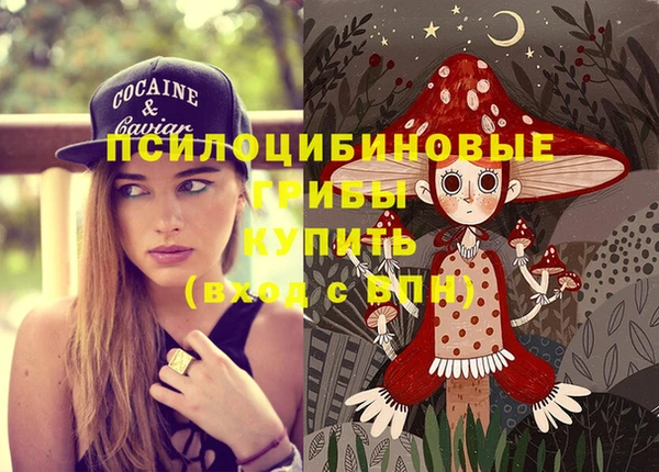 амф Верхний Тагил