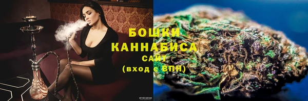 амф Верхний Тагил